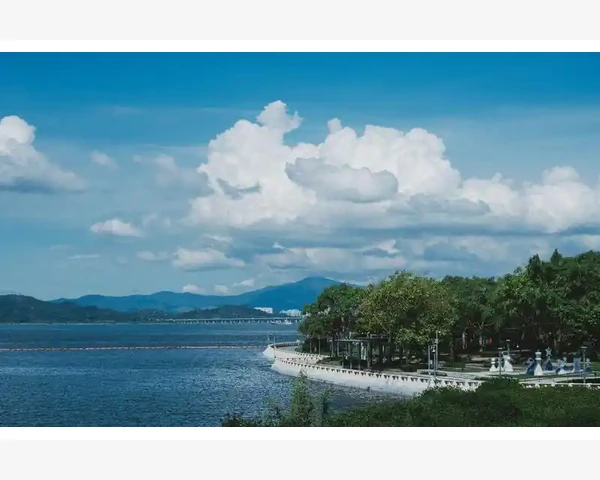 疏风清肺：中医针灸治疗呼吸系统疾病的有效手段