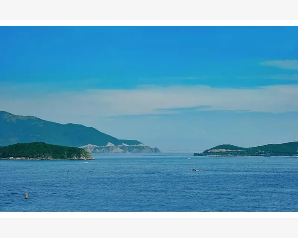 签发汇票会计分录操作详解